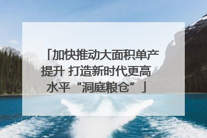加快推动大面积单产提升 打造新时代更高水平“洞庭粮仓”