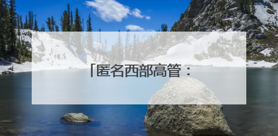 匿名西部高管：湖人对布朗尼有明确的培养计划