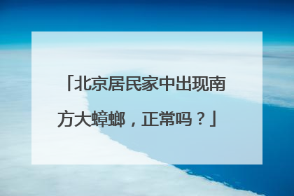 北京居民家中出现南方大蟑螂，正常吗？