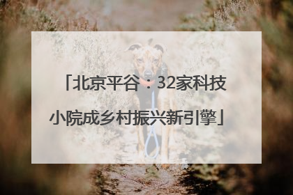 北京平谷：32家科技小院成乡村振兴新引擎