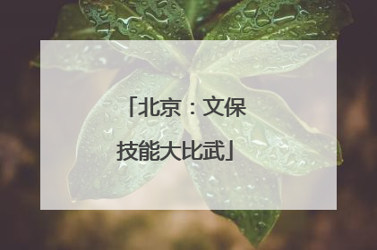 北京：文保技能大比武