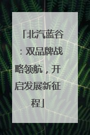 北汽蓝谷：双品牌战略领航，开启发展新征程