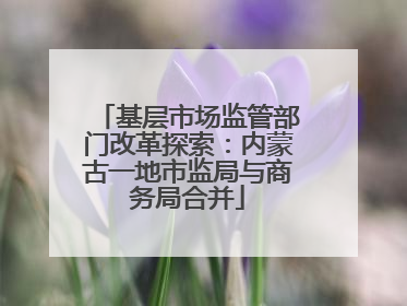 基层市场监管部门改革探索：内蒙古一地市监局与商务局合并