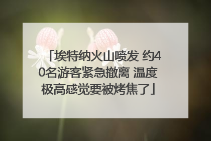 埃特纳火山喷发 约40名游客紧急撤离 温度极高感觉要被烤焦了