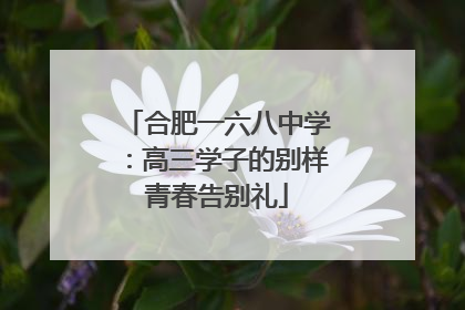合肥一六八中学：高三学子的别样青春告别礼