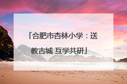 合肥市杏林小学：送教古城 互学共研