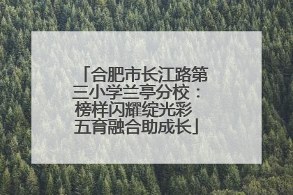 合肥市长江路第三小学兰亭分校：榜样闪耀绽光彩 五育融合助成长