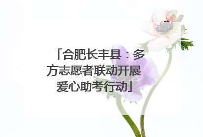 合肥长丰县：多方志愿者联动开展爱心助考行动