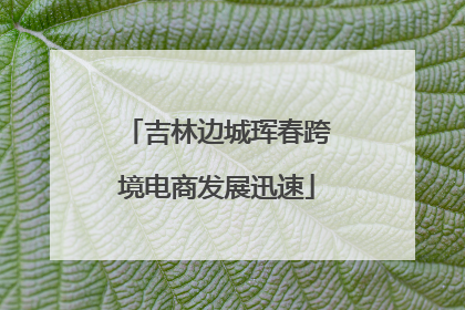 吉林边城珲春跨境电商发展迅速