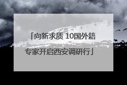 向新求质 10国外籍专家开启西安调研行