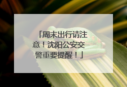 周末出行请注意！沈阳公安交警重要提醒！