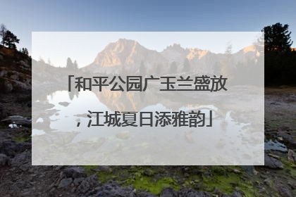 和平公园广玉兰盛放，江城夏日添雅韵