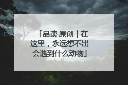 品读·原创｜在这里，永远想不出会遇到什么动物