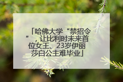 哈佛大学“禁招令”，让比利时未来首位女王、23岁伊丽莎白公主难毕业