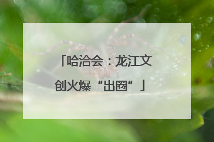 哈洽会：龙江文创火爆“出圈”
