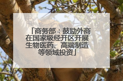 商务部：鼓励外商在国家级经开区开展生物医药、高端制造等领域投资