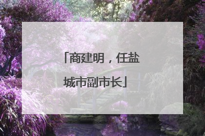 商建明，任盐城市副市长