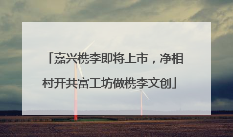 嘉兴槜李即将上市，净相村开共富工坊做槜李文创