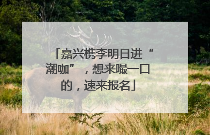 嘉兴槜李明日进“潮咖”，想来嘬一口的，速来报名
