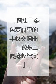 图集｜金色麦浪里的丰收交响曲——豫东三夏抢收纪实