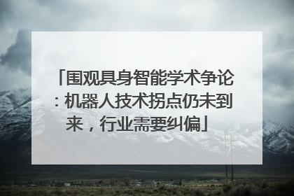 围观具身智能学术争论：机器人技术拐点仍未到来，行业需要纠偏