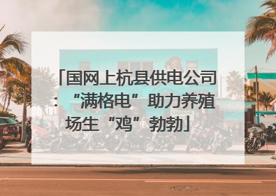 国网上杭县供电公司：“满格电”助力养殖场生“鸡”勃勃