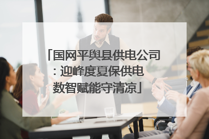 国网平舆县供电公司：迎峰度夏保供电  数智赋能守清凉