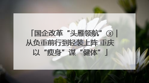 国企改革“头雁领航”③｜从负重前行到轻装上阵 重庆以“瘦身”谋“健体”