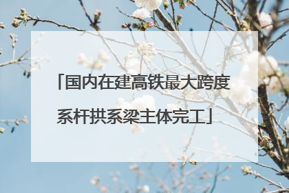 国内在建高铁最大跨度系杆拱系梁主体完工
