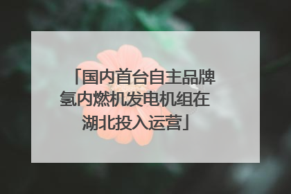 国内首台自主品牌氢内燃机发电机组在湖北投入运营