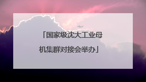 国家级沈大工业母机集群对接会举办