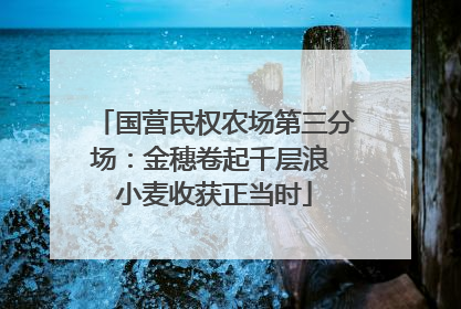 国营民权农场第三分场：金穗卷起千层浪 小麦收获正当时