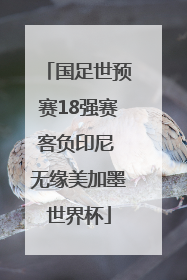 国足世预赛18强赛客负印尼 无缘美加墨世界杯