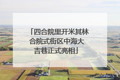 四合院里开米其林 合院式街区中海大吉巷正式亮相