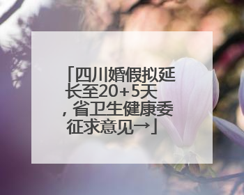 四川婚假拟延长至20+5天，省卫生健康委征求意见→