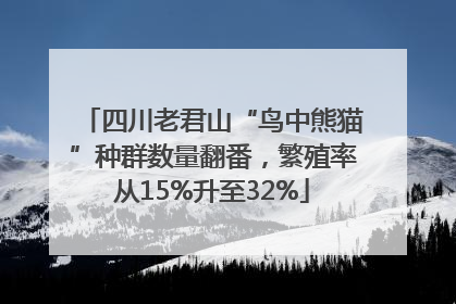 四川老君山“鸟中熊猫”种群数量翻番，繁殖率从15%升至32%