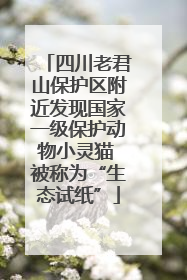 四川老君山保护区附近发现国家一级保护动物小灵猫 被称为“生态试纸”