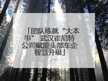 团队练就“大本事” 武汉霍尼特公司赋能头部车企智慧升级
