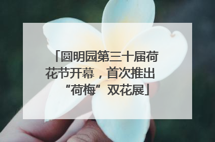 圆明园第三十届荷花节开幕，首次推出“荷梅”双花展
