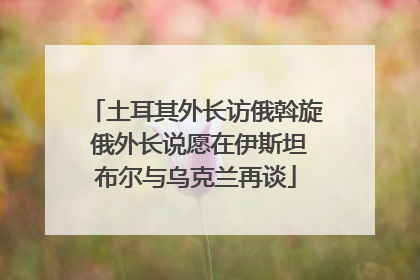 土耳其外长访俄斡旋 俄外长说愿在伊斯坦布尔与乌克兰再谈