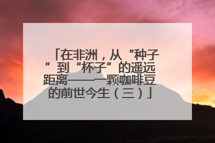 在非洲，从“种子”到“杯子”的遥远距离——一颗咖啡豆的前世今生（三）