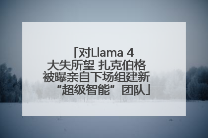 对Llama 4大失所望 扎克伯格被曝亲自下场组建新“超级智能”团队