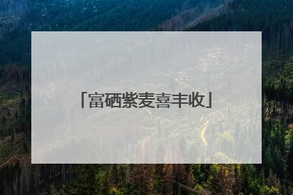 富硒紫麦喜丰收
