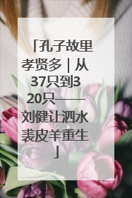 孔子故里孝贤多｜从37只到320只——刘健让泗水裘皮羊重生