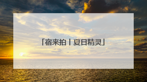 宿来拍丨夏日精灵