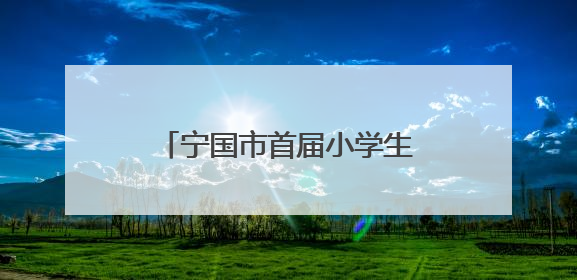 宁国市首届小学生科学素养大赛在津河学校成功举办