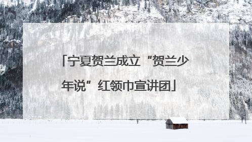 宁夏贺兰成立“贺兰少年说”红领巾宣讲团