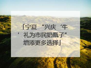 宁夏 “兴庆‘牛’礼为市民奶瓶子”增添更多选择