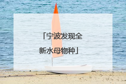 宁波发现全新水母物种