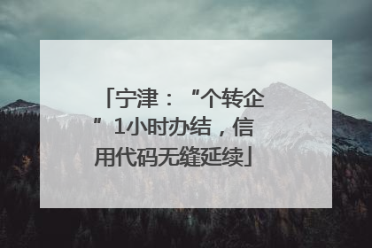 宁津：“个转企”1小时办结，信用代码无缝延续